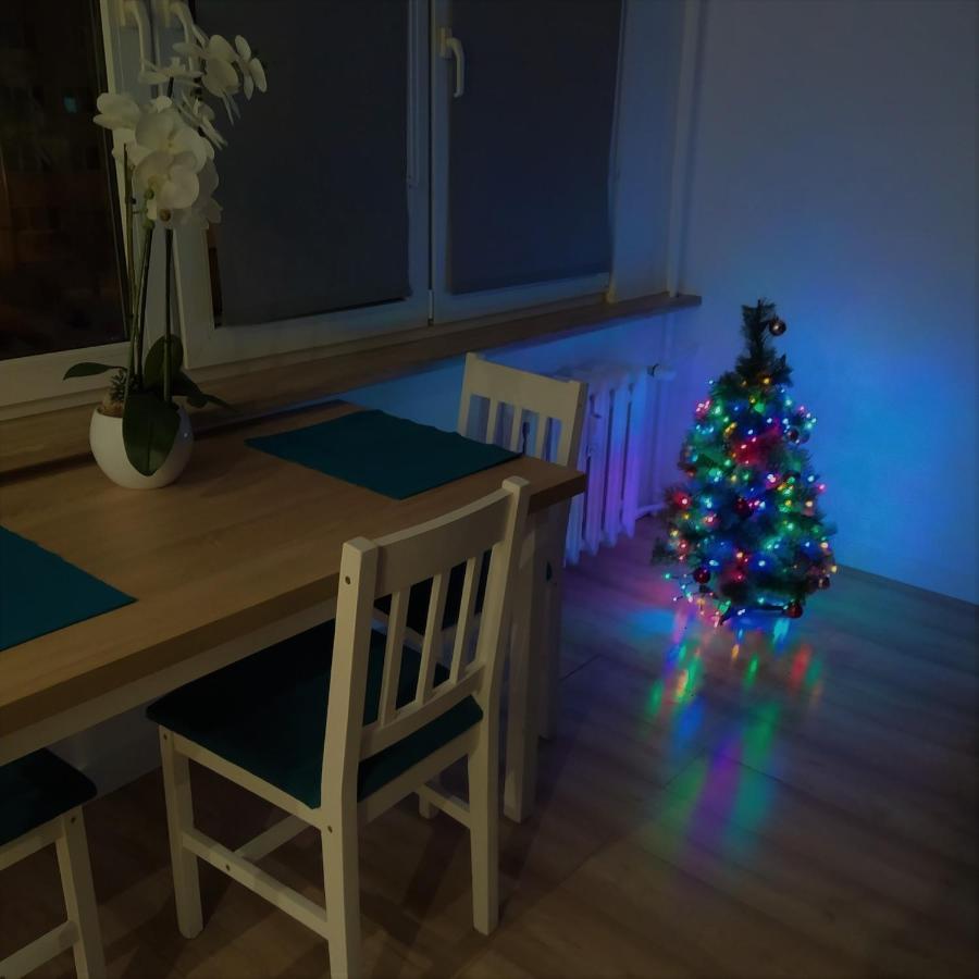 Apartament Torun Dreams Exteriér fotografie